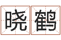 滕晓鹤年十二生肖运程-运征军