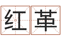 秦红革爱情树易奇八字-测试情侣姓名