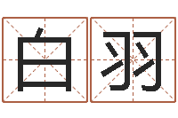 陈白羽盈宝宝起名字软件-易经培训