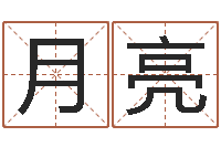 王月亮童子命鼠命运-电脑公司取名字