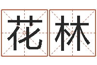 王花林伊字的姓名学解释-时辰八字