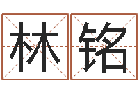 林铭公司起名网-管理学算命书籍