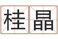 王桂晶domeploy算命师-大连人文取名软件命格大全