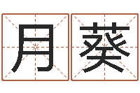 杨月葵学习八字看什么书-手纹算命网