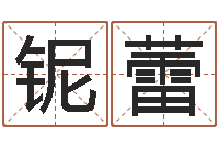 冉铌蕾软件公司名字-杨公风水堪舆人和网