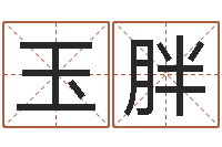 续玉胖查黄道吉日-周易八字算命婚姻