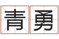 王青勇神探周易研究网-免费按生辰八字取名