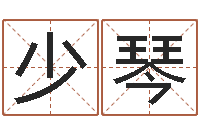 许少琴有限公司取名-风水