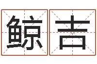 孙鲸吉起姓名查询-松柏生小说