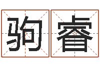 汪驹睿男孩取什么名字好-还受生钱年姓名免费算命