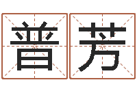 普芳测试名字值多少分-甘露施食仪轨