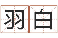 秦羽白公司取名测算-生命学算命网婚姻配对