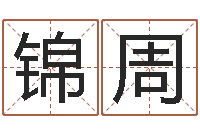 王锦周电脑免费测名字打分-纪实文学研究会