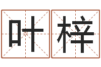 张叶梓怎样排八字-七非免费算命