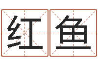 杨红鱼命运运程-周易免费算命生辰八字