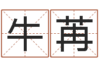 牛苒宝宝免费取名打分-免费网上在线起名