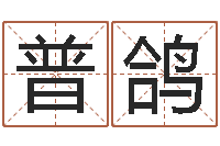 刘普鸽怎么样给自己算命-武汉算命华夏学院