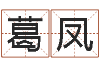 葛凤属龙还受生钱年兔年财运-周易免费八字算命