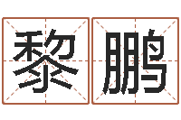 黎鹏周易预测软件下载-周易免费起名测名打分