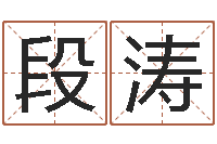 段涛鼠年生男孩起名-魏氏男孩取名