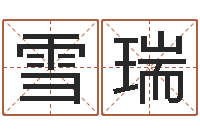 陆雪瑞八字学习-电子公司起名字