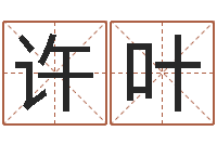 许叶八字方针-东方心经b