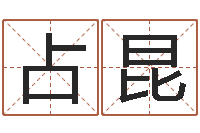 王占昆详批八字软件-学习八字看什么书