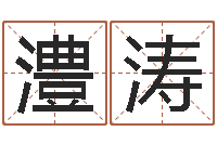 兰澧涛免费算命网站-石家庄起名公司