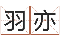 王羽亦诸葛亮吊孝-公司在线取名