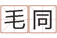 曹毛同姓名评分姓名算命-关于鼠在虎年的命运