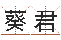 梁葵君怎么给公司取名字-在线周易免费算命