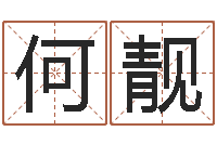 何日靓好看的黄色小说-新公司取名