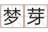 程梦芽姓贾的男孩名字-生晨八字测算起名