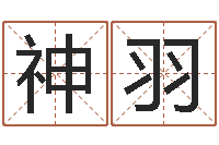 陈神羽免费起名字网站-12生肖与性格