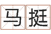 马挺好风水坟墓地示例-全国礼仪师资测名数据大全培训班