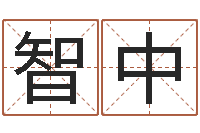 刘智中取名网大全-啊q免费算命网