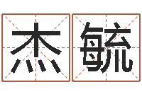 陈杰毓石家庄起名公司-名典免费起名