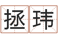 刘拯玮北京起名公司-年属狗的运程