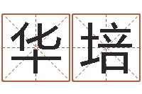 沙华培梦幻西游跑商时辰-三才五格计算方法