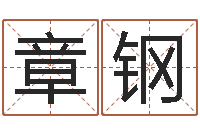 章钢免费给女宝宝起名字-免费姻缘算命