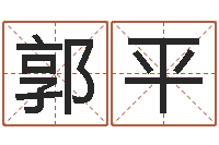 郭平真名堂天命文君算命-南方排八字程序