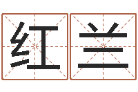 陈红兰中医调理-传统批八字