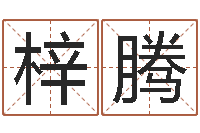 张梓腾枕着你的名字入眠-免费学算命