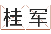 庞桂军姓名笔画测吉凶-改运救世圣人