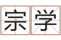 施宗学女孩的取名-生成八字