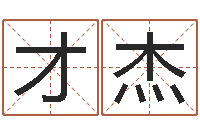 刘才杰免费起名字打分测试-免费四柱预测软件