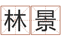 魏林景工厂起名-周文王的周易