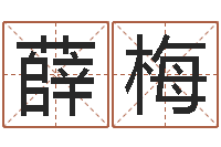 薛梅名字笔画相减配对-取名网