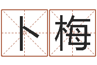 卜梅建筑与风水pdf-给姓张的宝宝取名字