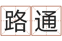 崔路通姓刘男孩子名字大全-童子命年属猪的命运